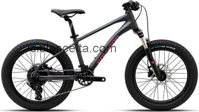 Polygon xtrada 20 scheda tecnica 