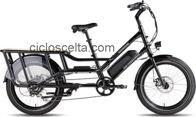 Rad Power Bikes radwagon 4 recensioni e scheda tecnica