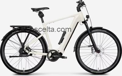 Rose mayor plus 3 recensioni e scheda tecnica