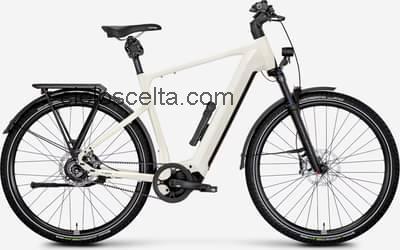Rose mayor plus 4 recensioni e scheda tecnica
